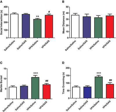 Gastrodin Rescues Autistic-Like Phenotypes in Valproic Acid-Induced Animal Model